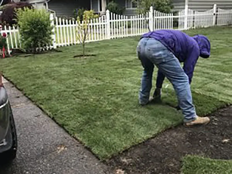 Gallery Thumbnail 10