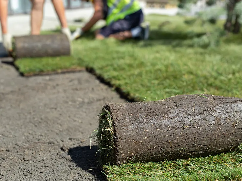 Gallery Thumbnail 18