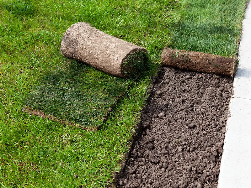 Gallery Thumbnail 21