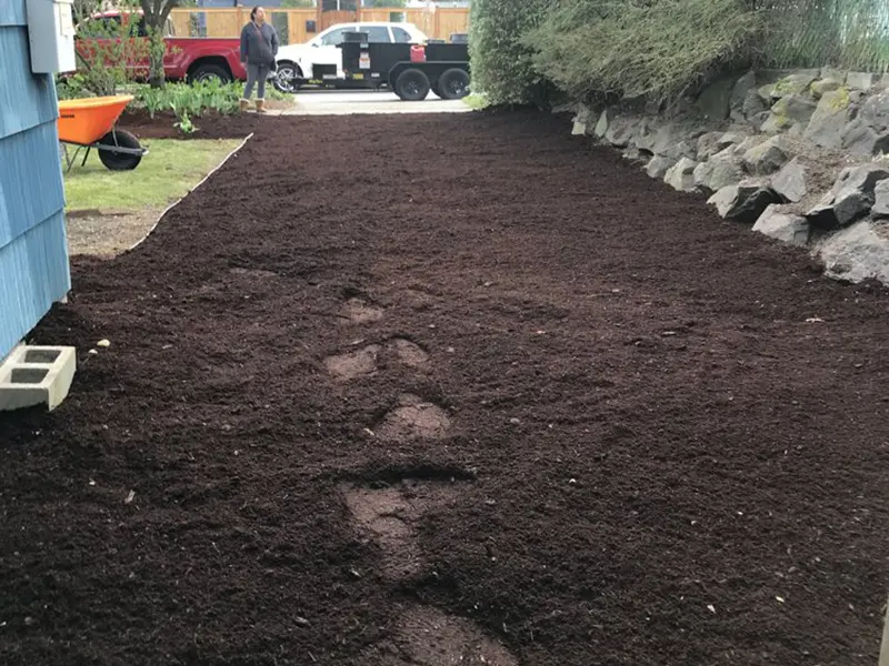 Gallery Thumbnail 25