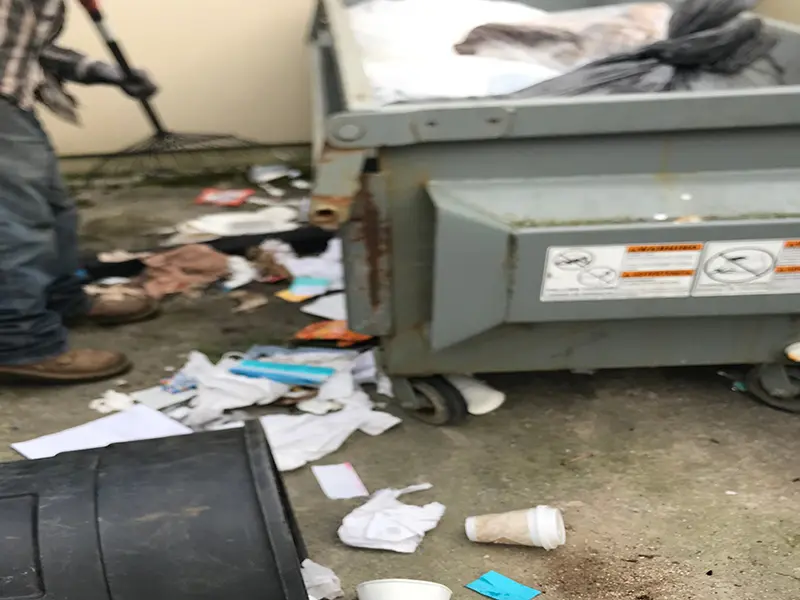 Gallery Thumbnail 27